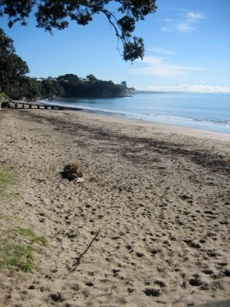 Narrowneck Beach3.JPG
